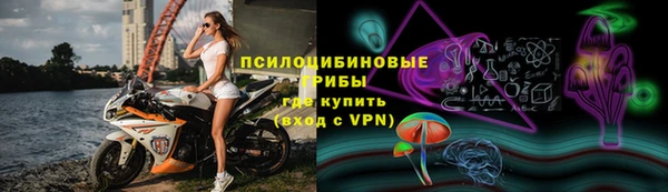 крисы Баксан