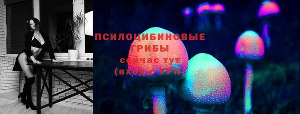 дмт Балахна