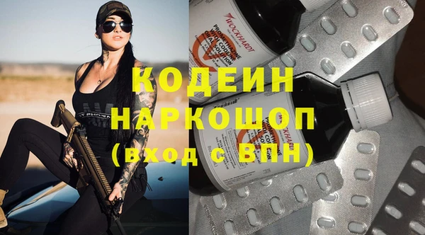крисы Баксан
