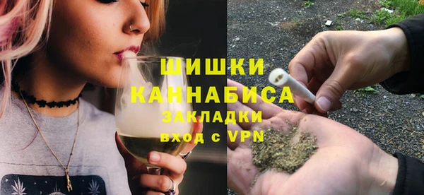 крисы Баксан