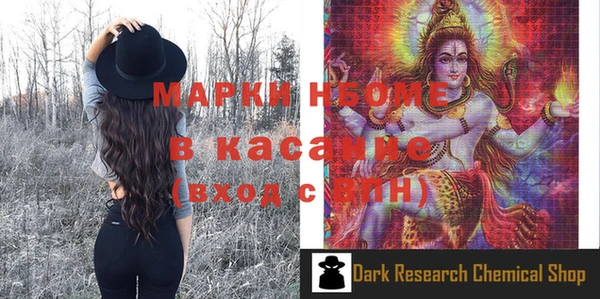 крисы Баксан