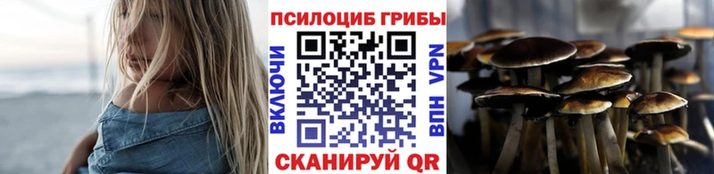 Псилоцибиновые грибы мухоморы дарнет шоп Верхняя Пышма