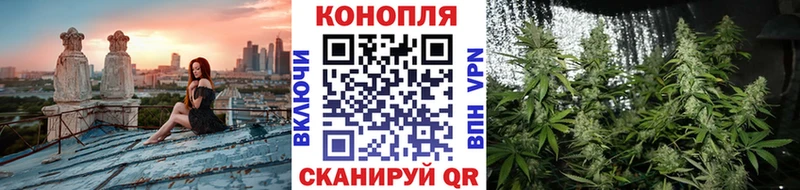 Шишки марихуана MAZAR  Верхняя Пышма 